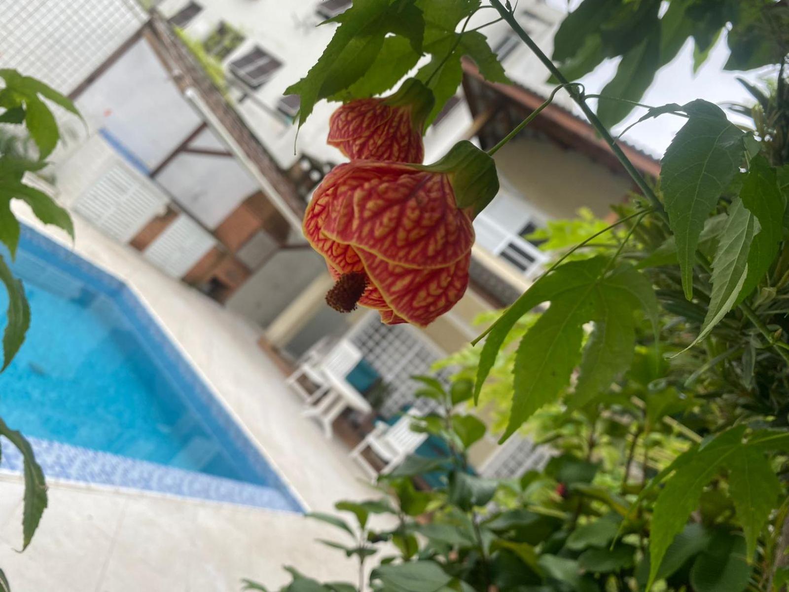 Pousada Do Tio Cido Guarujá Kültér fotó